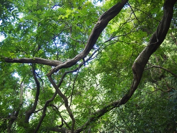 b0344486_14025950.jpg