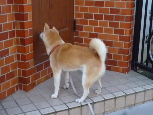 c0123890_20531771.jpg