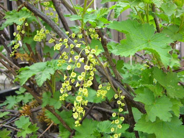 b0348195_1252286.jpg