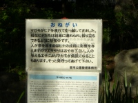 b0348195_135677.jpg