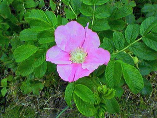 b0348195_13592.jpg