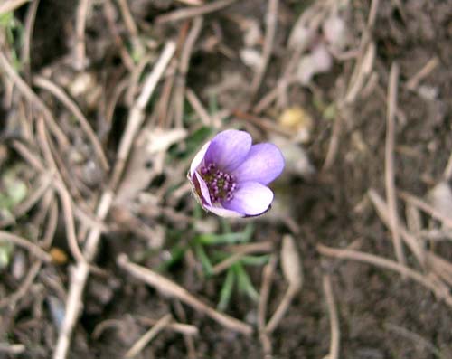 b0348195_2351633.jpg
