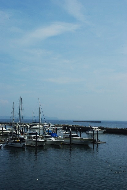 f0038904_23200165.jpg