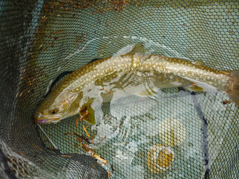c0232813_20591521.jpg