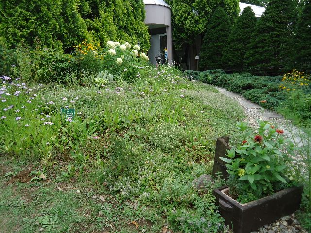 b0248920_7593620.jpg