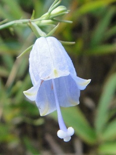 f0000521_05433601.jpg