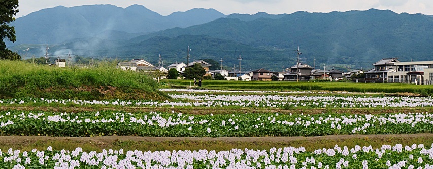 b0068423_2141562.jpg