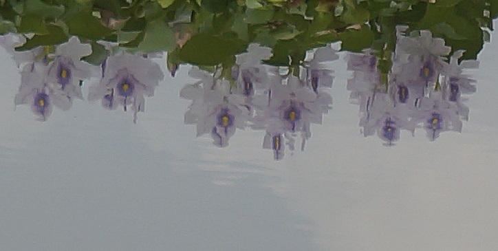 b0068423_21583084.jpg