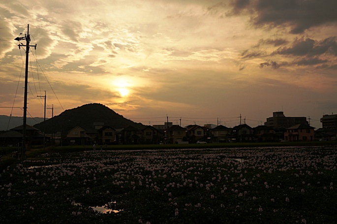 b0068423_22141223.jpg