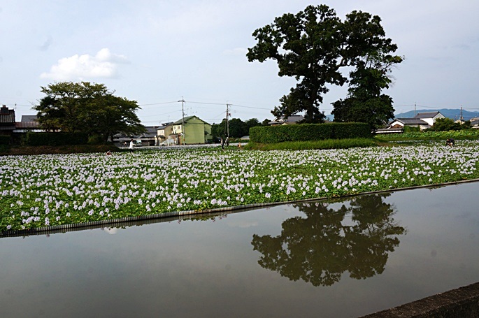 b0068423_227034.jpg