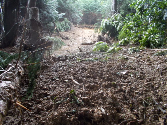 f0111128_15522864.jpg