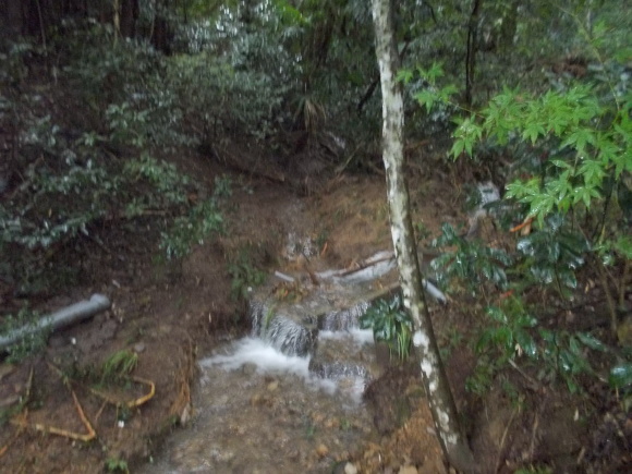 f0111128_15532601.jpg
