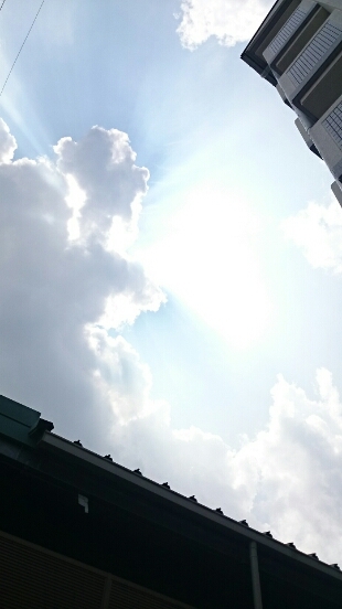 b0162732_12222786.jpg