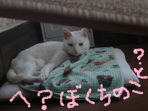 f0002833_18224388.jpg