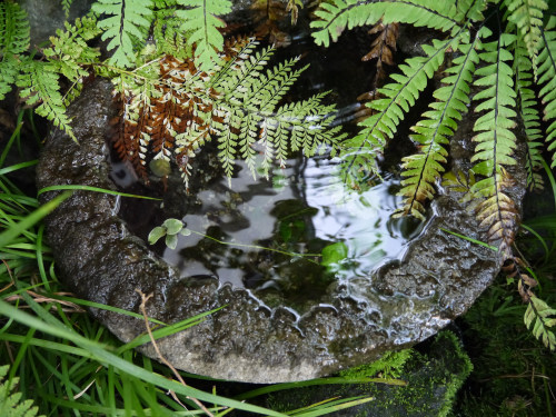 c0195439_23314304.jpg