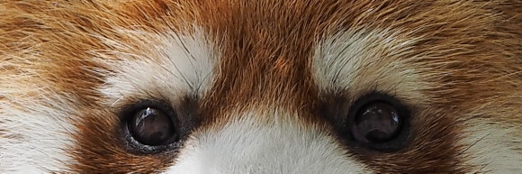 a0149740_0345422.jpg