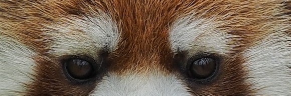 a0149740_0351031.jpg