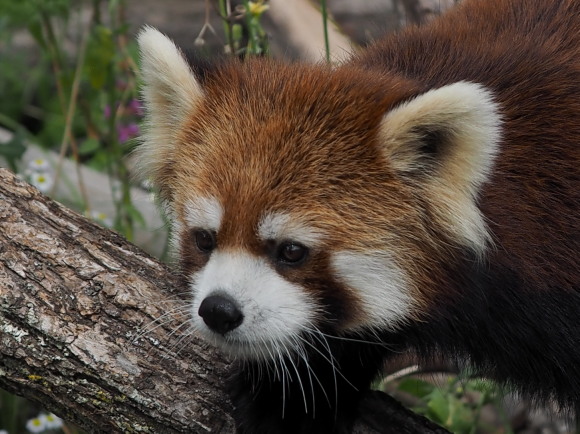 a0149740_2132630.jpg