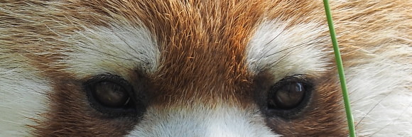 a0149740_3451823.jpg
