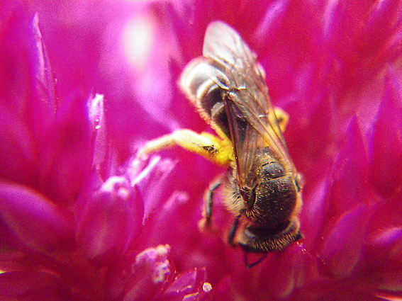 f0161647_15382428.jpg