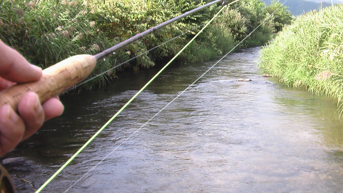 b0208961_16423114.jpg