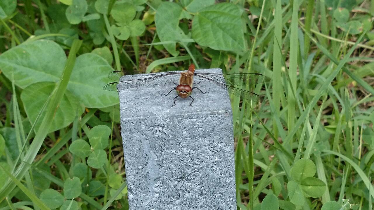 c0144868_22411019.jpg