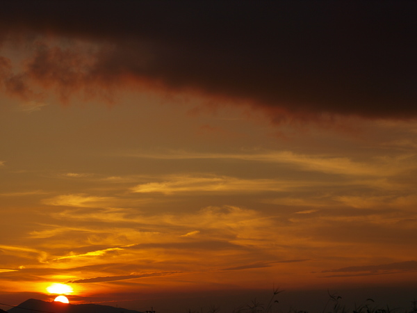 a0260570_1401536.jpg