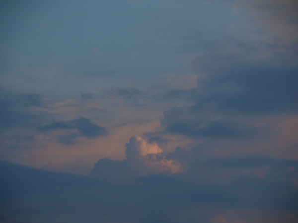 a0260570_1403293.jpg