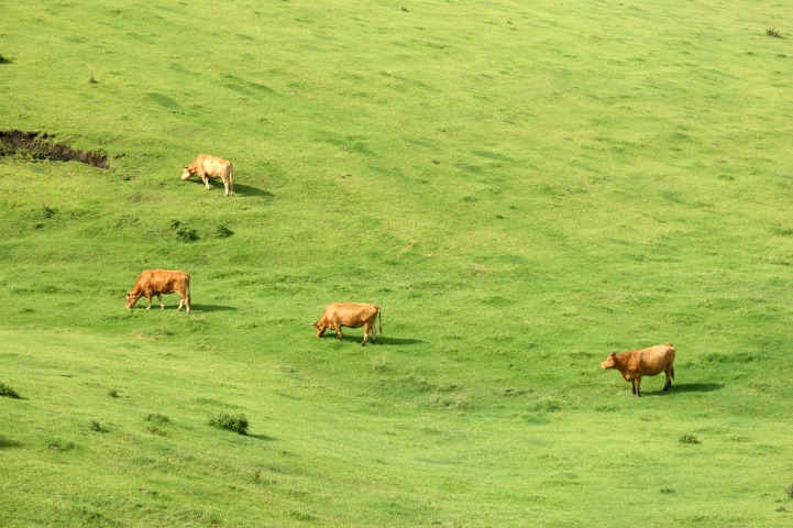 c0248473_16070428.jpg