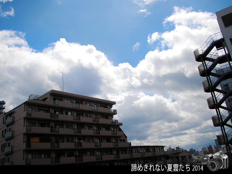 c0009981_5302039.jpg