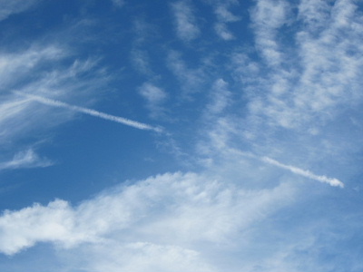 f0005081_1353248.jpg