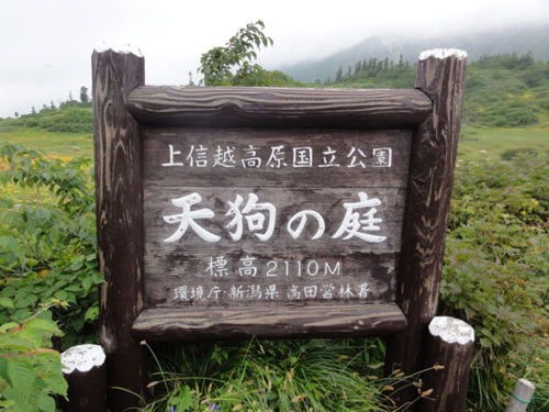 e0271890_21104363.png
