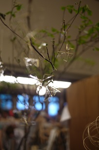 f0226293_923638.jpg