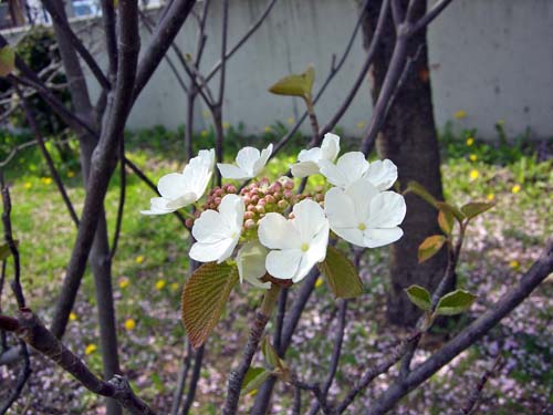 b0348195_751021.jpg