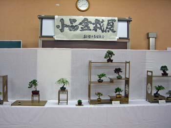 b0348195_752846.jpg