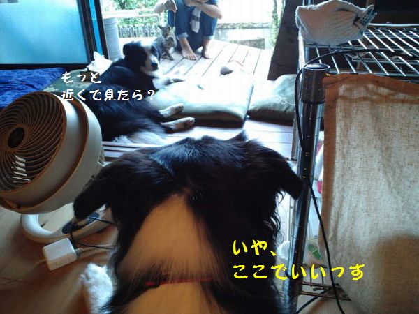 d0224111_11365072.jpg