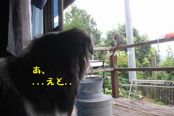 d0224111_11370711.jpg