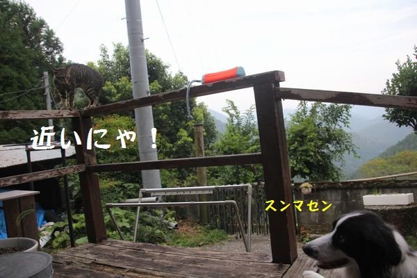 d0224111_11372472.jpg
