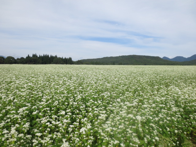 f0248616_10195248.jpg