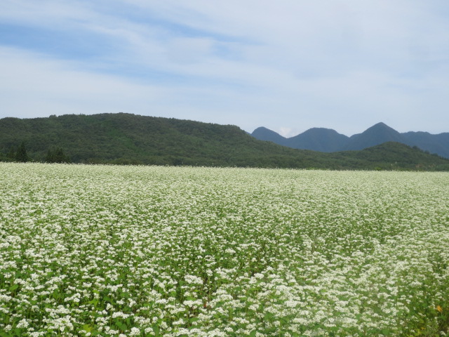 f0248616_10232826.jpg