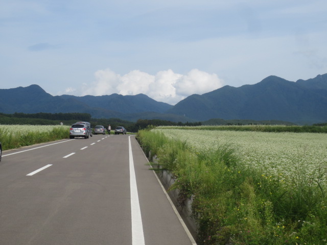 f0248616_10235016.jpg