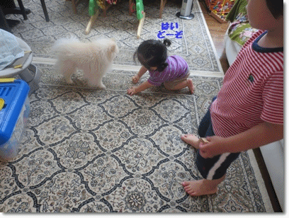 b0167519_2275315.gif