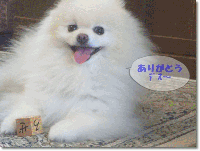 b0167519_2292723.gif