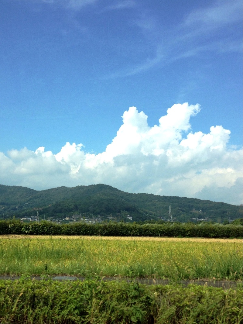 c0037519_2349667.jpg