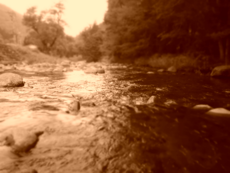 d0257922_11332587.jpg