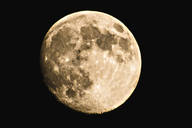d0265224_19304908.jpg
