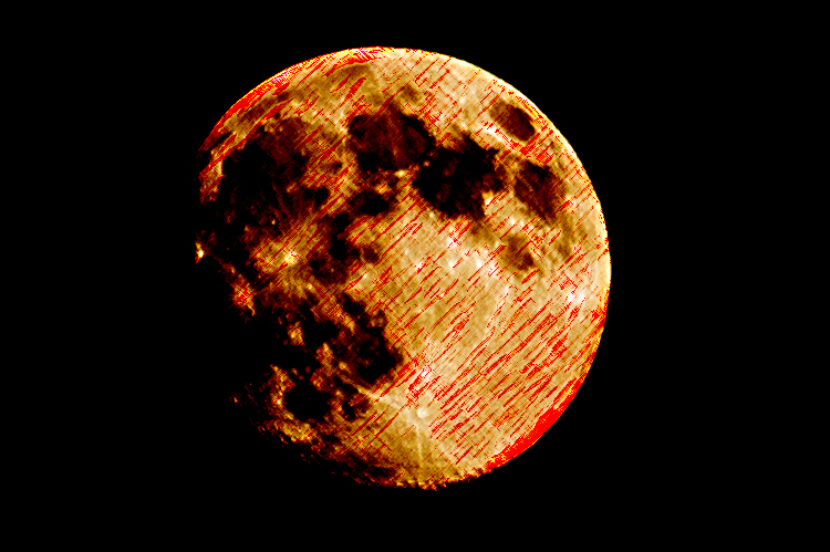 d0265224_21112138.jpg