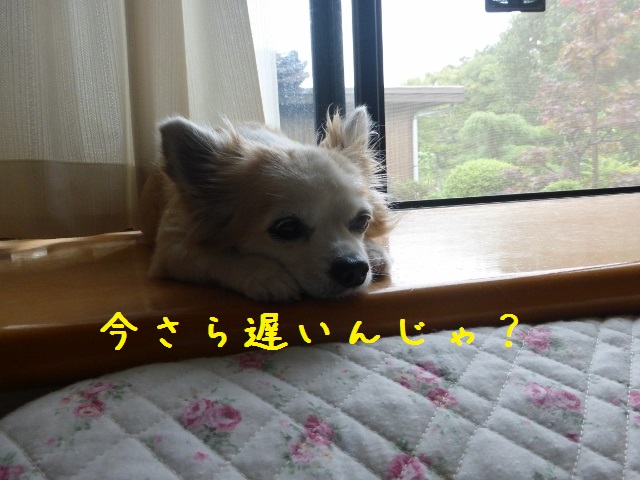 b0138430_13112517.jpg