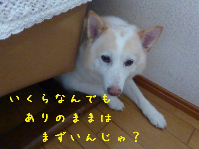 b0138430_13202345.jpg