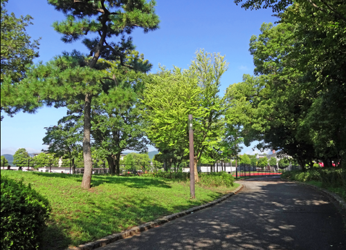 c0184737_201191.png